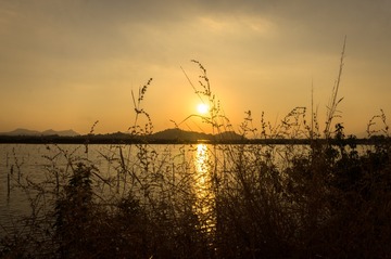 _DSC6326