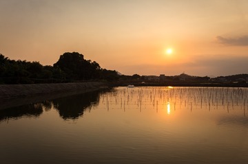 _DSC6254
