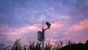 _DSC4354-1