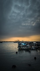 _DSC1798