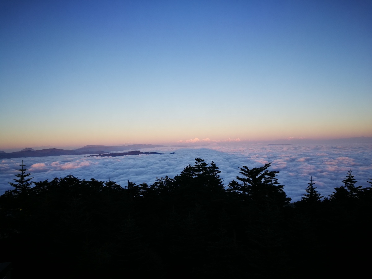 我们不负青春不负卿