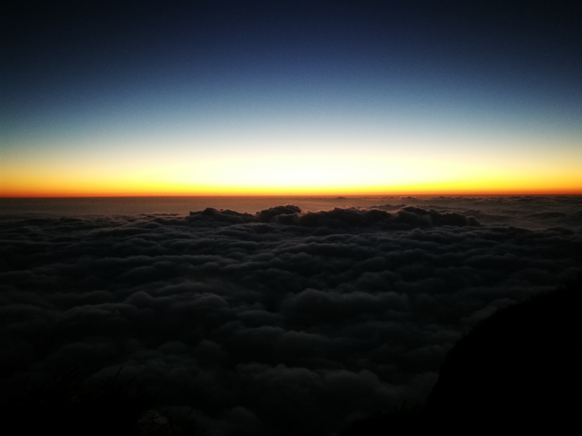 我们不负青春不负卿