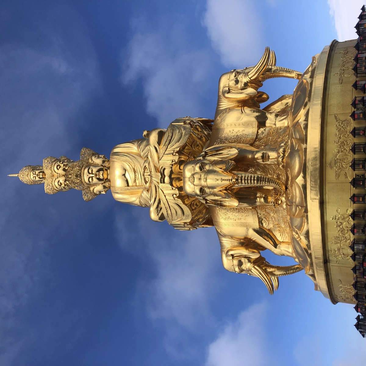 我们不负青春不负卿