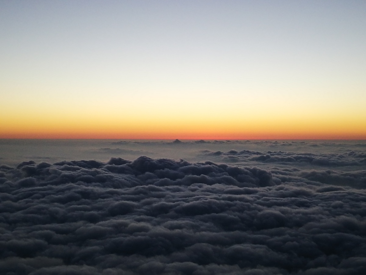 我们不负青春不负卿