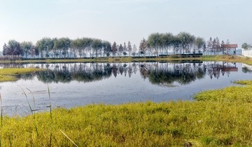 N7_13712_DxO