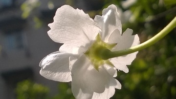 WP_20160318_12_23_36_Pro