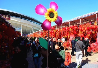 IMG_8149向阳花
