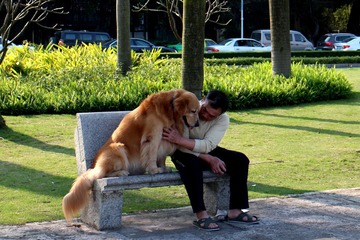 IMG_2631温暖