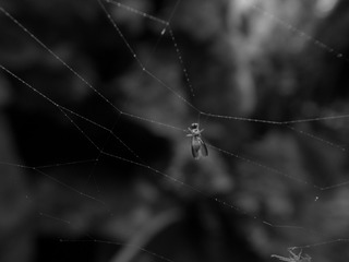 R0015054