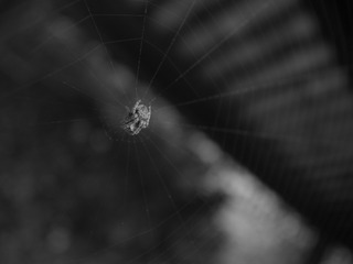 R0015063