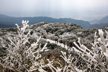 《雪峰揽胜》