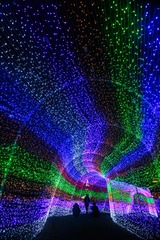 _I8A0260--