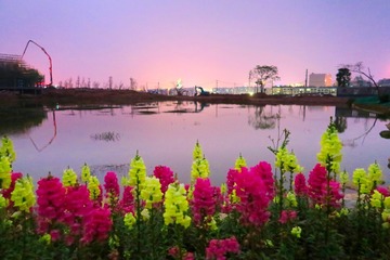 IMG_9026-