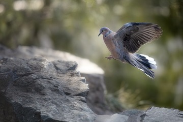46519