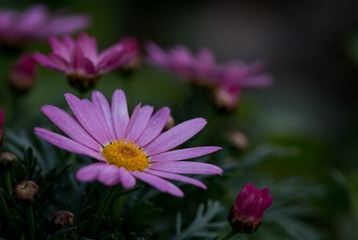 DSC_0410_