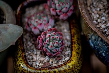 DSC_0422_