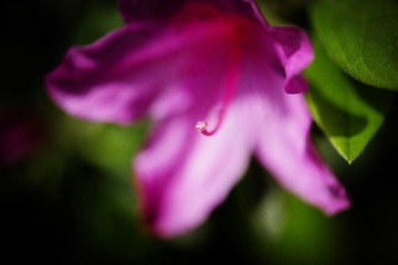 DSC_1591_