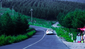 DSC_0082-