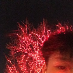 1251157