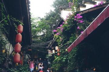 《山花烂漫》