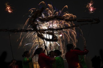 _1000843龙飞凤舞庆新年
