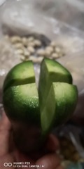 358733