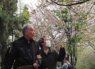 雾霾挡不住赏花客-1