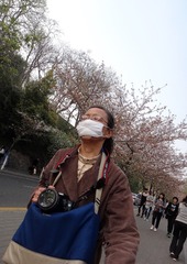 雾霾挡不住赏花客-11