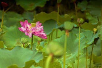 2012huanglong_0993_01