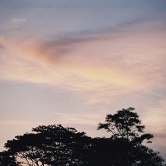74BCBF80-80B1-4A80-9A64-4EE79748A209/L0/001