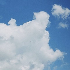 D2910A72-4688-4D10-A846-C8F6397EC197/L0/001