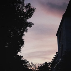 63E4FD1D-2248-4E9C-B2C0-59EE19C7A479/L0/001