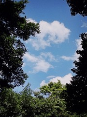 4F3BAD58-1DFC-4787-B651-3575D6F8CC13/L0/001