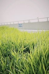 58A79821-E375-4F54-B252-ECDE6375C627/L0/001