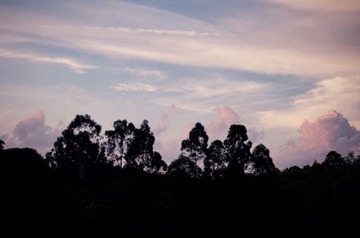 E6AB374E-2723-4200-87EB-083D74280586/L0/001