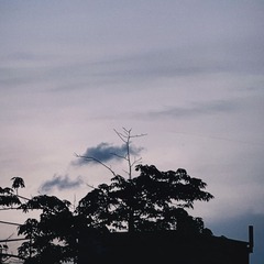 5FC5541D-52F4-4103-AE45-E7F075C39426/L0/001