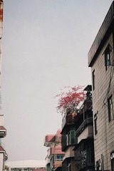 F58C9C28-CD82-4E3A-98E1-CFE864BF1735/L0/001