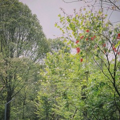 D8A94E35-3892-4C36-AB93-5B07898092AD/L0/001