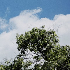 AB71CCF5-761F-4A65-BE52-14F5A646312A/L0/001