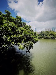 AA042F71-CD84-458A-994D-0C81EA6039EC/L0/001