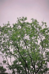 CA90781D-D50A-47EF-A018-20B3A1EB5DDA/L0/001
