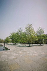 C7FC9168-9303-4B79-B45B-E3F1AD58F922/L0/001