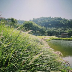 B02D3621-FF5F-4B0E-8CE0-4F13813B5618/L0/001