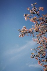 F82A3F27-1AA7-49AE-9286-0582059B4BDF/L0/001