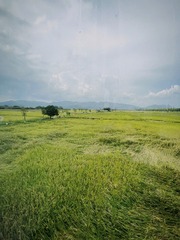7CC0CD91-012C-4C32-8B36-24CE4BCCE7B1/L0/001