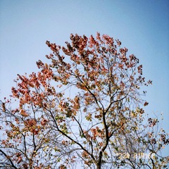 386137DB-B1F0-499F-AB70-6913184F511B/L0/001