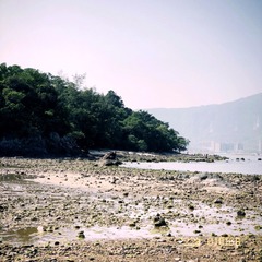 99D3A8A0-E9CF-4A8A-B50F-3DDD28D51F74/L0/001