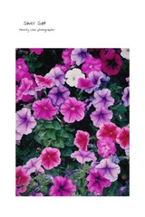 4CE27A60-F62F-4DA0-A382-EF08129713DD/L0/001