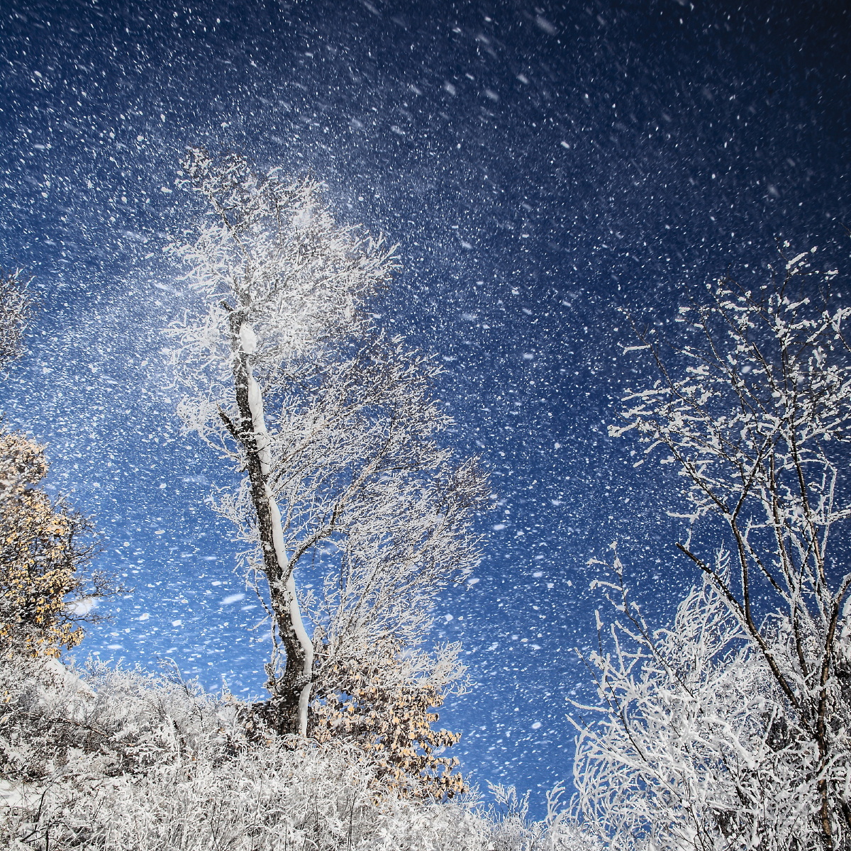 《冰天雪境》组照