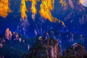 _MG_94131.